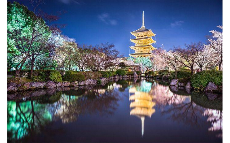 如何打造出讓市民滿意的公園亮化工程？